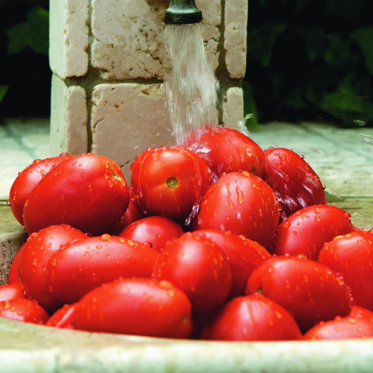 A picture of Fruit and vegetables