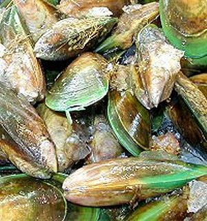 nz green mussels, greenlip mussels, green lip mussels, whole mussels, nz mussels